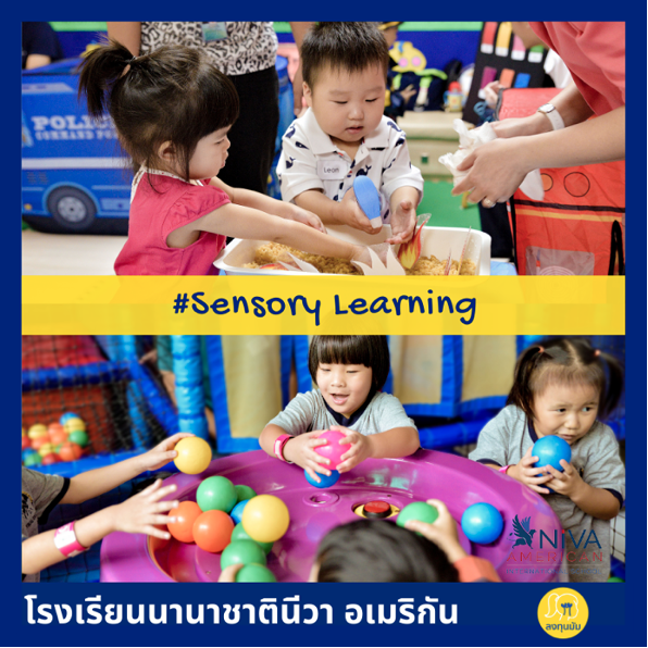 Sensory Learning at NIVA