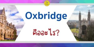 oxbridge คืออะไร